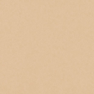 SC-7204