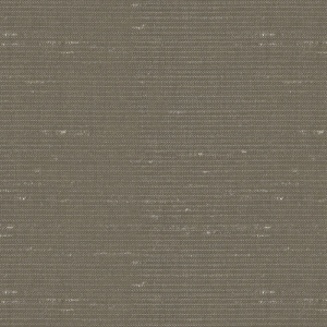 TKF-11037