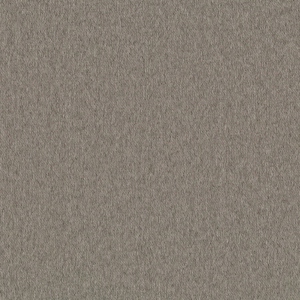 TKF-11398