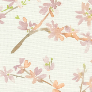 TKF-11616